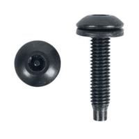 

Lowell Manufacturing RSV-50 Torx Star Post Head Screws with Pilot Point Tip for 10-32 Threaded Rails, 50 Pieces in Bag, Black