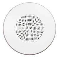

Lowell Manufacturing WB-8T Round Steel Torsion Mount Grille for 8" Speaker, 12.88" Diameter, White