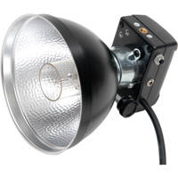 

Lumedyne HSML Extra Small Modeling Light Flash Head with 800Ws Flashtube and 7' Straight Cord