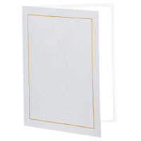 

TAP Certificate Folder Frame, For 8.5x11" Certificate Or Photo, Acetate Insert For Full View Of Certificate, Color: Ivory with Gold foil, Pack of 25