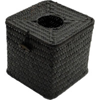 

Bush Baby Wicker Tissue Box with 1080p Covert Camera