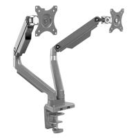 

Mount-It! MI-2762 Dual Monitor Desk Mount with USB Ports