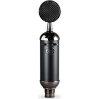 

Blue Microphones Blackout Spark SL Large-Diaphragm Studio XLR Condenser Microphone with Shockmount and Storage Box