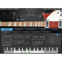 

MusicLab RealRick Rickenbacker Guitar Virtual Instrument VST/AU Software Plug-In, Electronic Download