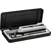 

MagLite Spectrum Series Mini MagLite 2-Cell AA Warm White LED Flashlight, Presentation Box