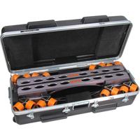 

Matthews Case for Centipede II 32-Wheel Camera Support Dolly System