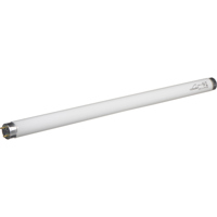 

MyStudio 5000K 15W "Daylight" Fluorescent Replacement Bulb