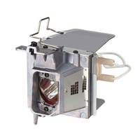 

NEC Replacement Lamp for NP-V302H, NPV332W and NPV332X Projectors