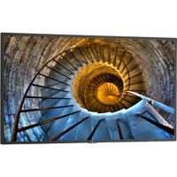 

NEC 48" P-Series LCD Commercial-Grade Large Format Display
