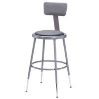 

National Public Seating 6400 Series 19"-27" Height Adjustable Heavy Duty Vinyl Padded Steel Stool with Backrest, Gray Seat, Gray Frame