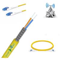 

Point 2 Point 20m Nano Armored Stainless Steel SingleMode OS2 LC/LC 2.0mm Single Tube Duplex Patch Cord with Corning ClearCurve Fiber Optic Glass and PVC/FEP Plenum Jacket