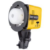 

Interfit Photographic Honey Badger 320Ws Compact Flash Head, 5600K