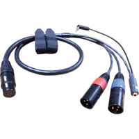 

Peter Engh 34" XLR 7-pin Female to Dual XLR 3-pin Male M3 Standard Camera End Cable with 3.5mm TRS Mini RA and TRS Tap