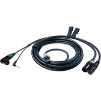 

Peter Engh 18' Hirose 10-pin Mixer End to 27.5" Arri Alexa Camera End M3 7-pin Quick Release Cable Set