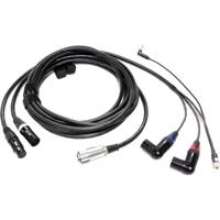 

Peter Engh 18' M3 7-pin Hirose 10-pin Mixer End to 33.5" Sony F5/55 Camera End Quick Release Cable Set