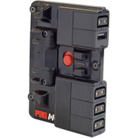 

Pag Paglink Powerhub - Gold Mount