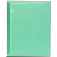 

Pioneer Photo Album Space Saver Pocket Bound Photo Album, Solid Color Covers with Clear Pocket, Holds 72 4x6" Photos, 2 Per Page. Color: Green.