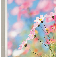 

Pioneer Photo Album Refill Pages for the PMV-206 Post Bound Magnetic Album, Pack of 5 Sheets.