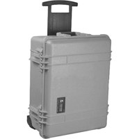

Pelican 1560 Watertight Hard Case without Foam Insert, with Wheels - Silver