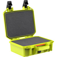 

Pelican V100 Vault Small Firearm Case with Foam for One Handgun, Green