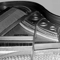 

Pianoteq YC7 Rock Piano Software Add-On, Stage, Chamber and Studio Variants, Electronic Download