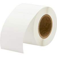 

Primera Technology 4x6" Matte Polypropylene BOPP Labels for LX800, LX810, and LX900 Label Inkjet Printer, 325 Labels, White