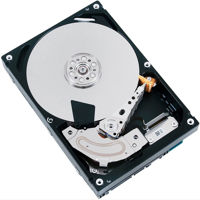 

Promise Technology 8TB SATA Hard Drive for the Pegasus J2i