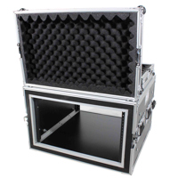 

ProX T-6RSP 6U ATA Shockproof Flight Road Case for Amplifier Rack Mount Module, 20" Rail Depth