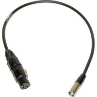 

PSC 2' Breakaway Snake Camera End for Red Camera with XLR Connectors & Right Angled Headphone