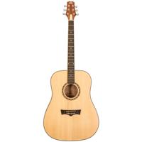 

Peavey DW-1 Dreadnaught Acoustic Guitar with Bag