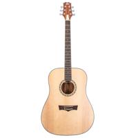 

Peavey DW-2 Solid Top Dreadnaught Acoustic Guitar with Case