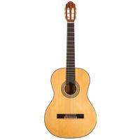 

Peavey Peavey CNS-1 Classical Nylon String Acoustic Guitar
