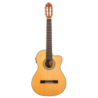 

Peavey Peavey CNS-Ce Classical Nylon String Guitar with Electr