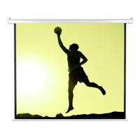 

Pyle PRJELMT76 72" Motorized Projector Screen with Remote Control, Matte White