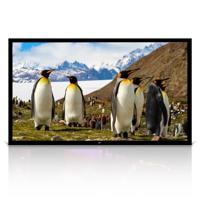 

Pyle PRJTPFL112 110" Universal Home/Office Fixed Wall Mount Projector Screen, Matte White