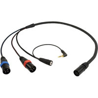 

Remote Audio 3' ENG Breakaway Standard Camera End Cable with Neutricon F to (2) XLR3M, 3.5mm TRS Jack & 3.5mm RA TRS Plug and 12" Fan