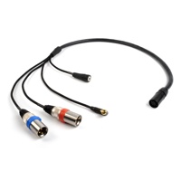 

Remote Audio 3' ENG Breakaway Deluxe Camera End Cable with Neutricon F to (2) XLR3M, 3.5mm TRS Jack & 3.5mm RA TRS Plug and 12" Fan