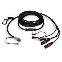 

Remote Audio 20' ENG Breakaway Assembly with 10-pin Hirose M, 3.5mm Return & 5-pin Lemo M to (2)XLR3M, 3.5mm TRS Return Pigtail & BNC RA Plug for Sound Devices 664