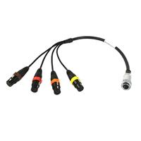 

Remote Audio 3' Balanced 8 Channel Analog Breakout Cable with DB25M to (8) XLR3M Connectors for Zaxcom Deva 16 and Fusion 12 Outputs 1-8
