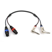 

Remote Audio 2' Balanced 2 Channel Adapter Cable with (2) XLR3F to (2) 1/4" TRS RA Plugs Connectors and 4" Fan