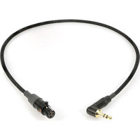 

Remote Audio 12" Unbalanced Stereo Adapter Cable with TA3F to 3.5mm RA TRS Plug Connectors for Tape/Mix Outputs