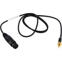

Remote Audio 2' Unbalanced Mic Level Adapter Cable for Sennheiser Transmitter
