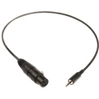 

Remote Audio 2' Timecode Input Cable with XLR3F to 3.5mm TRRS Plug Connectors for iPad and iPhone