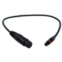 

Remote Audio 2' Balanced Adapter Cable with XLR3F to TA3F Connector