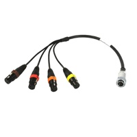 

Remote Audio 2' Balanced 4-Channel Analog Breakout Cable with 4x XLR3F to 10-pin Hirose M Connector and 8" Fan for Zaxcom Deva 16 Mixer and Fusion 12 Subwoofers