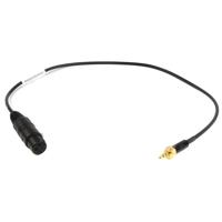 

Remote Audio 2' Unbalanced Line Level Adapter Cable with XLR3F to 3.5mm TRS Locking Plug for Sennheiser G2 Transmitters