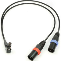 

Remote Audio 18" Balanced Stereo Breakout Cable with TA5F RA to 2x XLR3M Connector for Mixers, Recorders and Cameras