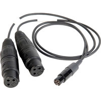 

Remote Audio 18" Balanced Stereo Breakout Cable with 2x XLR3F to TA5F Connector for Zaxcom STA100/150 or IFB100 Stereoline Transmitter