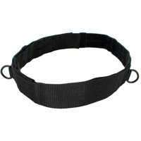 

RIPP Restraints RITB-500 Transport Belt with Fixed D-Rings