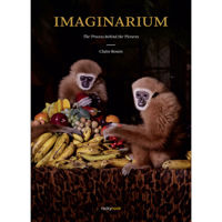 

Rocky Nook Imaginarium: The Process Behind the Pictures